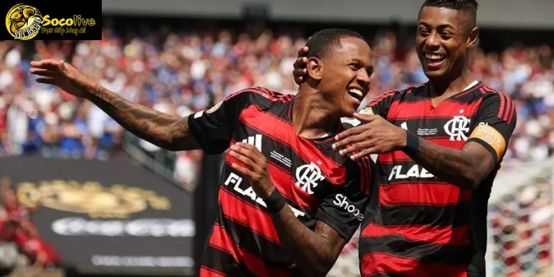 Flameno không phải là một đối thủ tầm thường